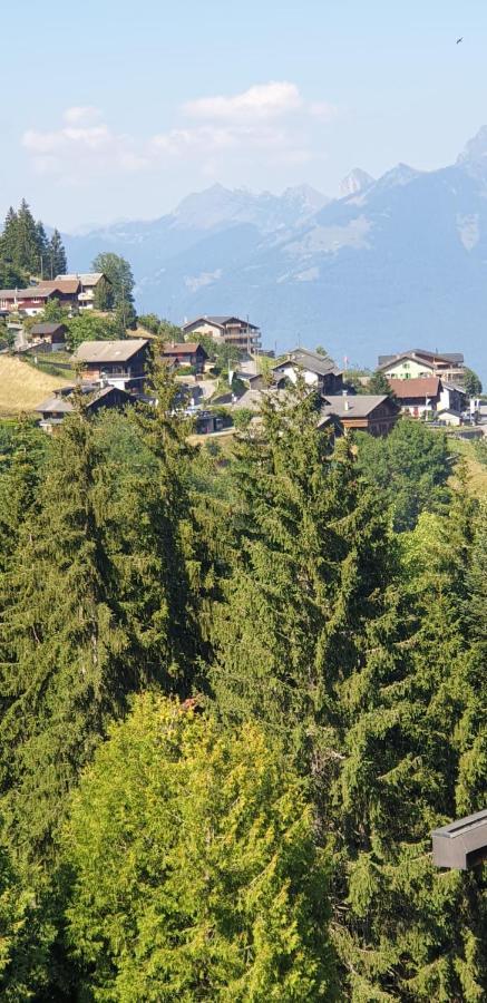 Residence « Les Cretes » Torgon Exteriör bild