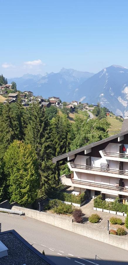 Residence « Les Cretes » Torgon Exteriör bild